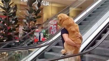 Cargó como a un bebé a su perro asustado y se volvió viral
