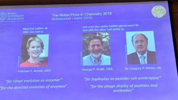 El Nobel de Química premia trabajos sobre proteínas