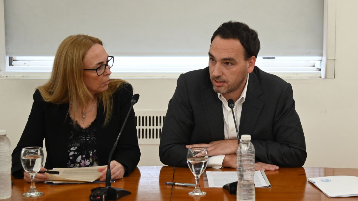La representante de la OPS en Argentina, Eva Jané Llopis y el ministro de Salud, Rodolfo Montero. La representante de la OPS en Argentina, Eva Jané Llopis y el ministro de Salud, Rodolfo Montero.