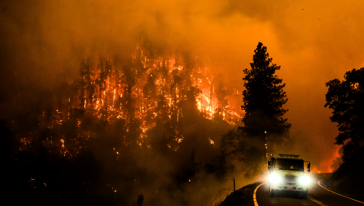 El calor pudo haber sido el factor desencadenante de estos incendios forestales