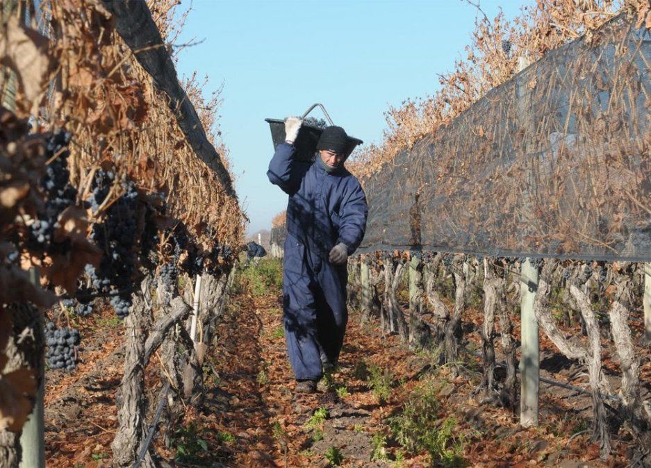 Los productores vienen consultando desde hace por lo menos dos meses sobre la posibilidad de que algunos privados busquen reflotar las importaciones de vino chileno. Por ahora, esas operaciones estarían desactivadas afirmó Martín Hinojosa.