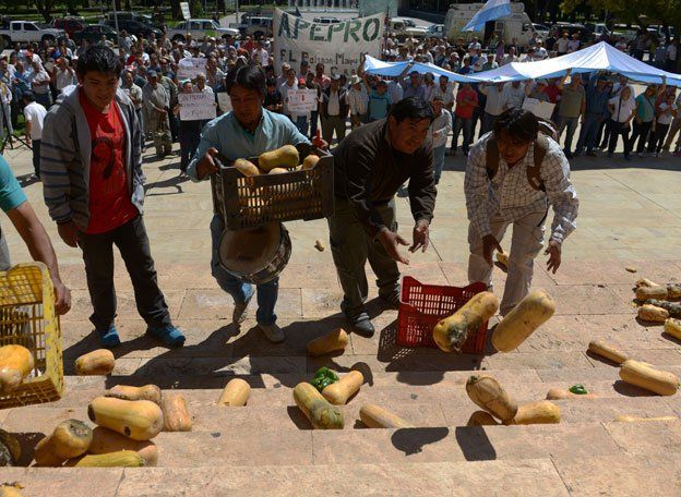 En medio de las protestas, el Gobierno de Mendoza anunció ayuda para los productores