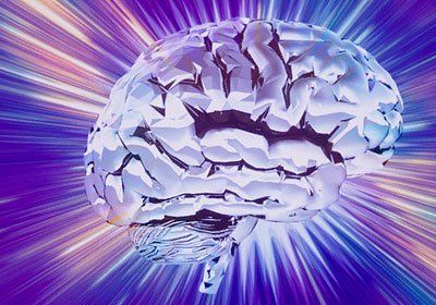 En qué lugar del cerebro están los engaños