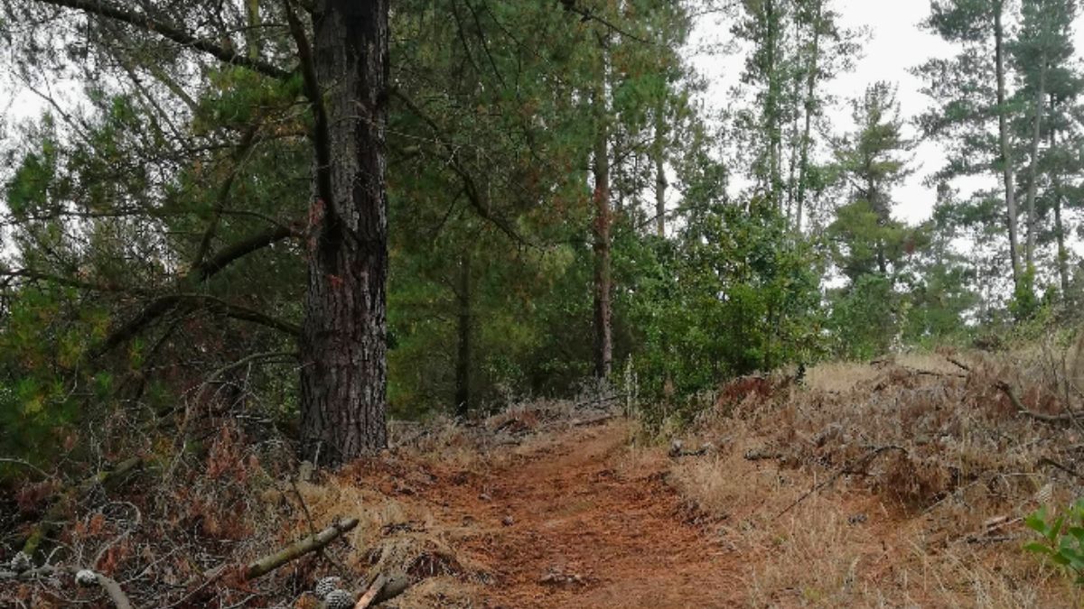 El pueblo no es de los más conocidos en turismo dentro de Chile. El pueblo no es de los más conocidos en turismo dentro de Chile.