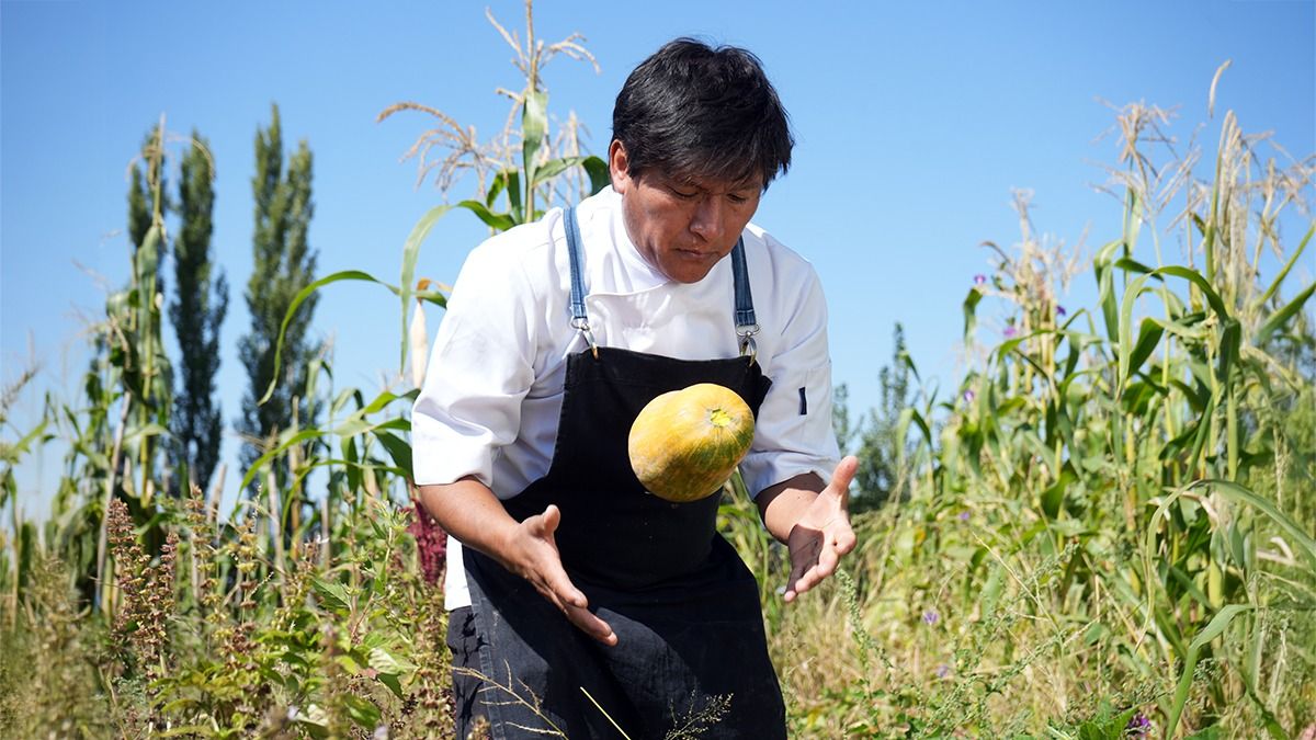 Morales se distingue por una gastronomía de identidad rural, con predominancia de vegetales en su cocina. Morales se distingue por una gastronomía de identidad rural, con predominancia de vegetales en su cocina.