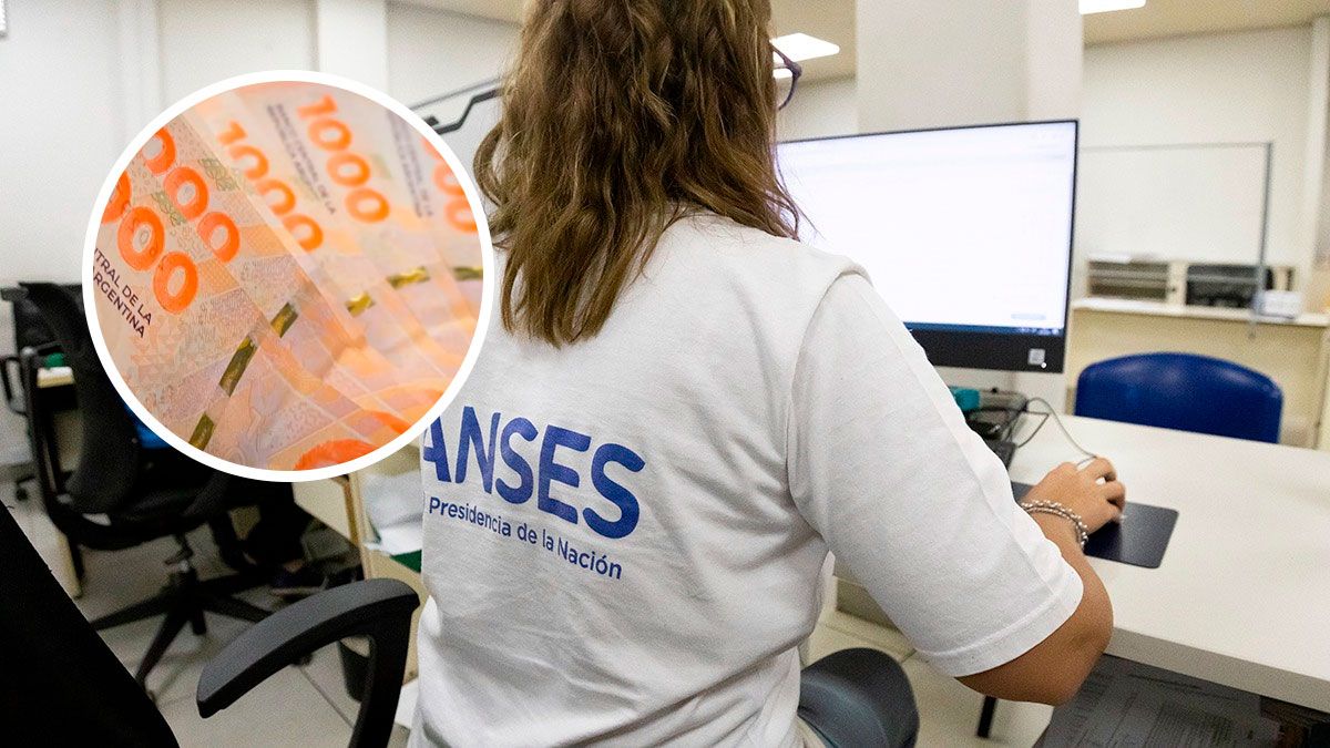 ANSES