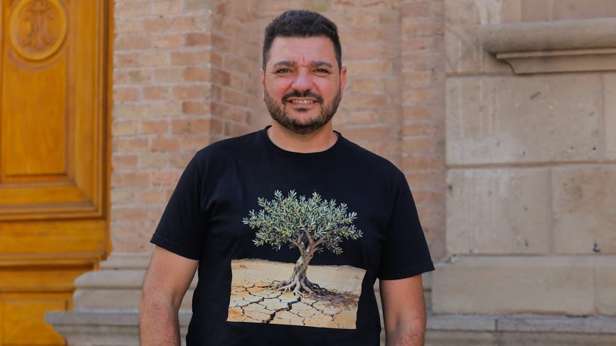 De olivos olvidados a Mendoza como capital del aceite