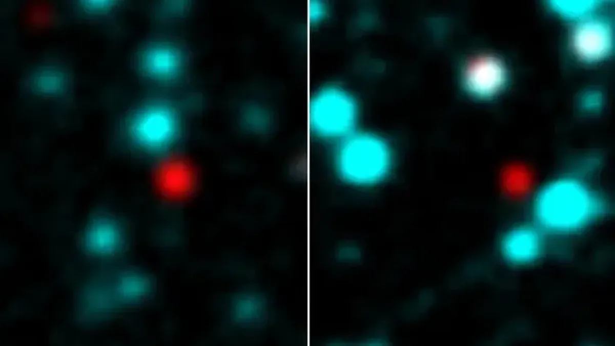 Este misterioso descubrimiento desafía los conocimientos de los científicos. Este misterioso descubrimiento desafía los conocimientos de los científicos.