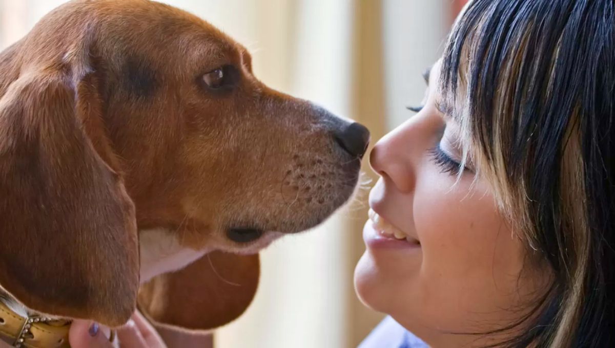Los perros olfatean a sus dueños para obtener información.