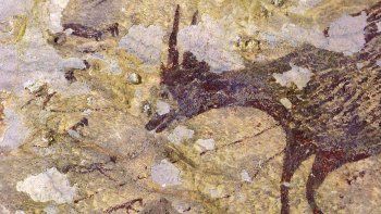 Descubrieron la obra de arte más antigua de la historia del arte rupestre