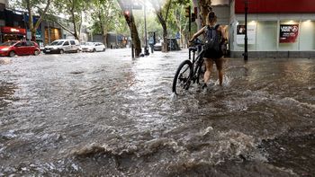Solo durante enero las lluvias triplicaron el promedio de los últimos 30 años en Mendoza Solo durante enero las lluvias triplicaron el promedio de los últimos 30 años en Mendoza