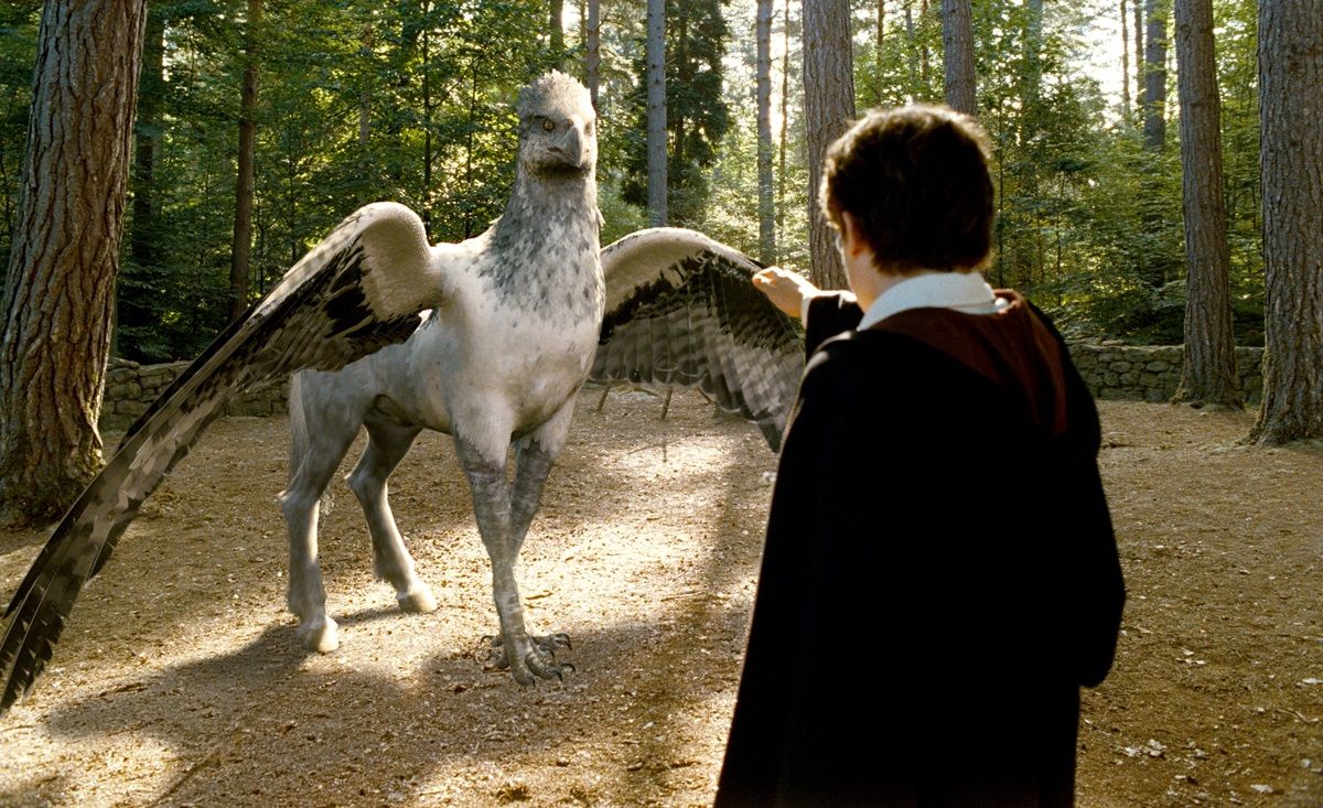 Así luce Buckbeak, el ave que aparece en Harry Potter. Así luce Buckbeak, el ave que aparece en Harry Potter.