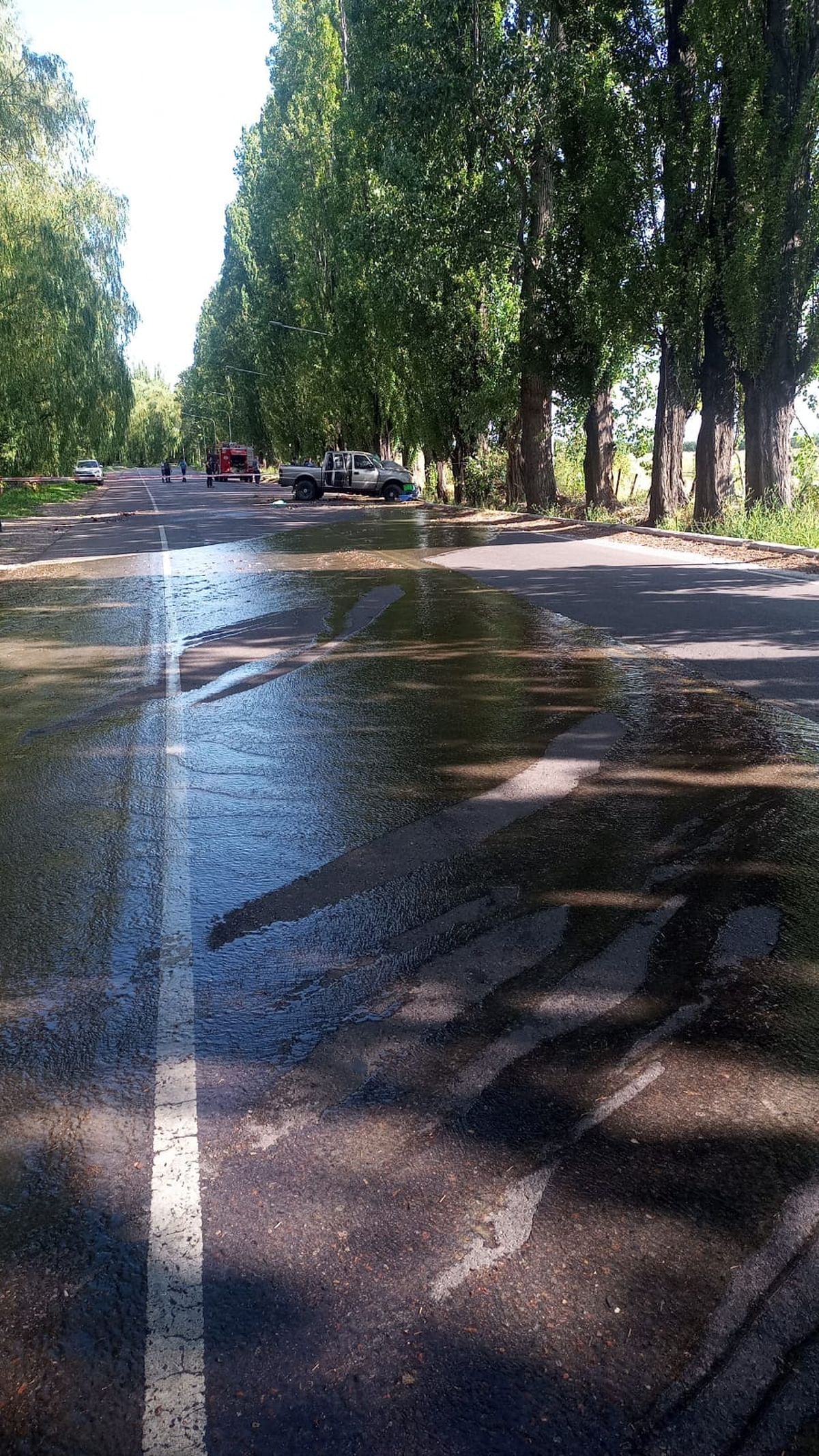 La camioneta dio de frente contra los árboles.