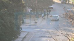 Puerto Viejo: de patrimonio histórico a paraíso de los narcos Puerto Viejo: de patrimonio histórico a paraíso de los narcos