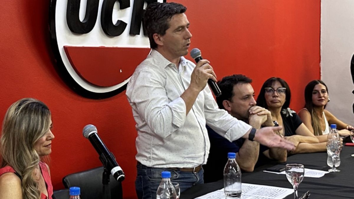 El presidente de la UCR mendocina marcó que el partido debe colaborar con la gestión del presidente Javier Milei pero no a tontas y a ciegas.