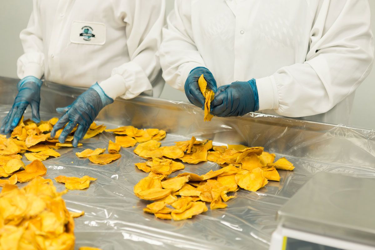Inspección de alimentos en una planta industrial tras retiros por contaminación. Crédito: Freepik.