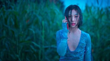 Cuántos capítulos son de Nadie en el bosque