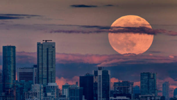 Fecha, hora y mejores lugares para ver la Superluna de noviembre.