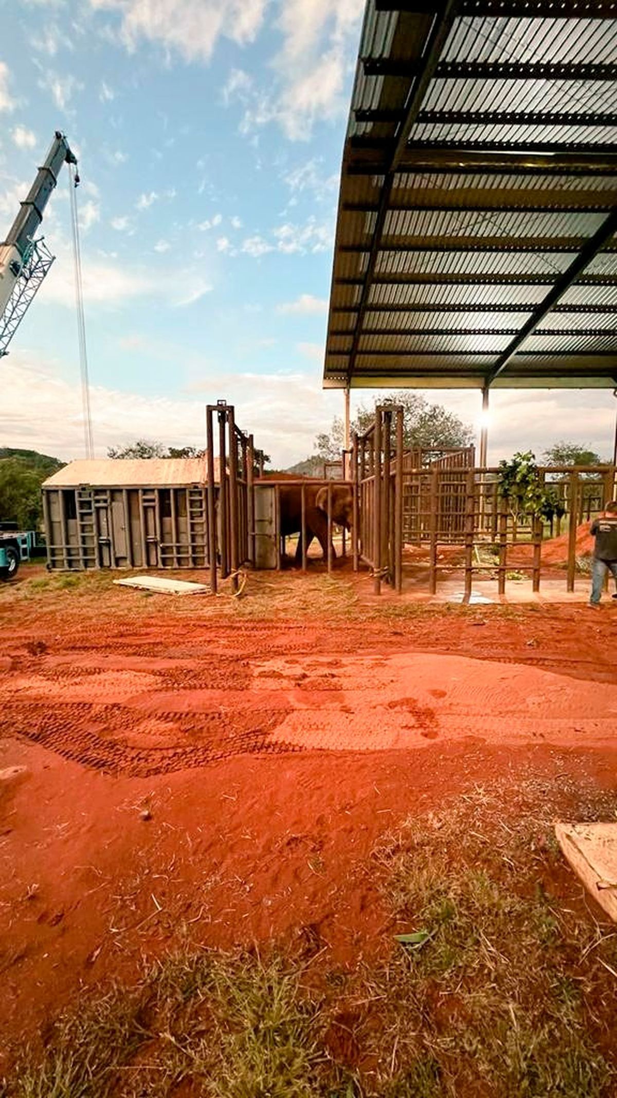 Tras casi 5 días de viaje, Pocha y Guillermina ya están en una reserva en Brasil.