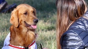 El móvil veterinario continúa recorriendo los distritos de Maipú El móvil veterinario continúa recorriendo los distritos de Maipú