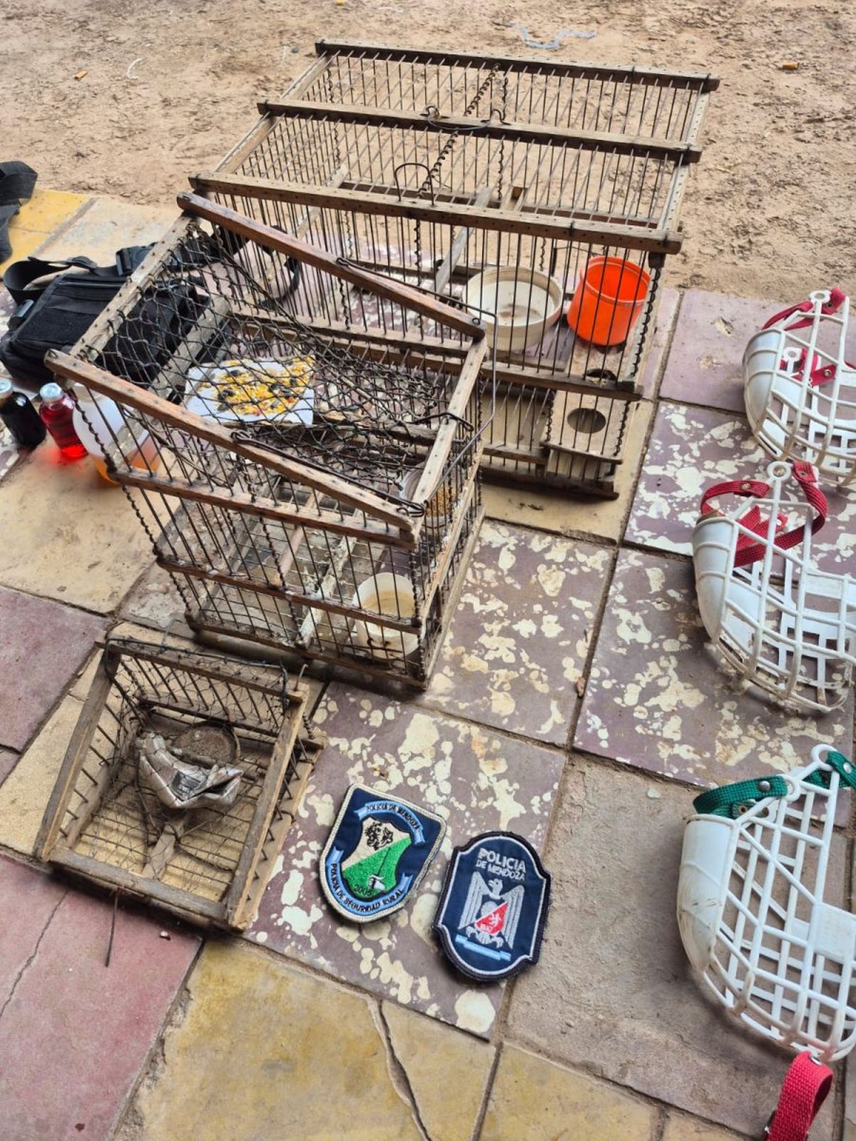 Algunos de los elementos secuestrados que eran utilizados para las carreras ilegales de galgos.