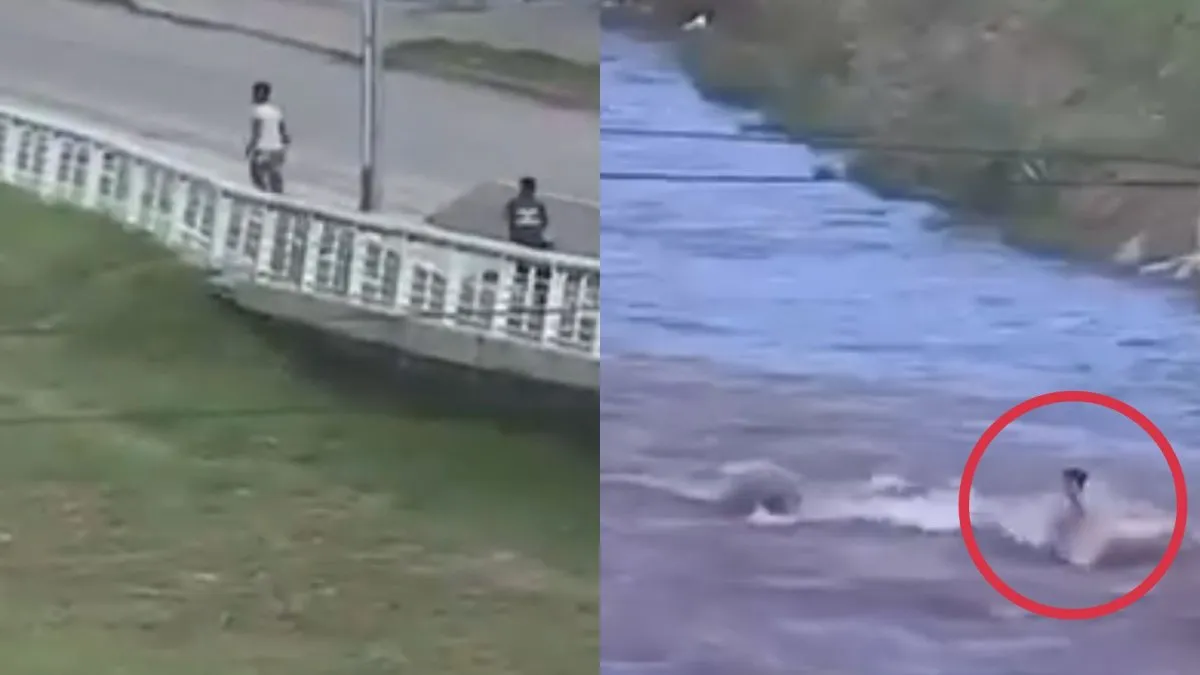 Un ladrón se tiró al río para huir de la policía pero lo atraparon en la otra orilla