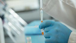 La Anmat aprobó ensayos con suero de caballos en pacientes con coronavirus