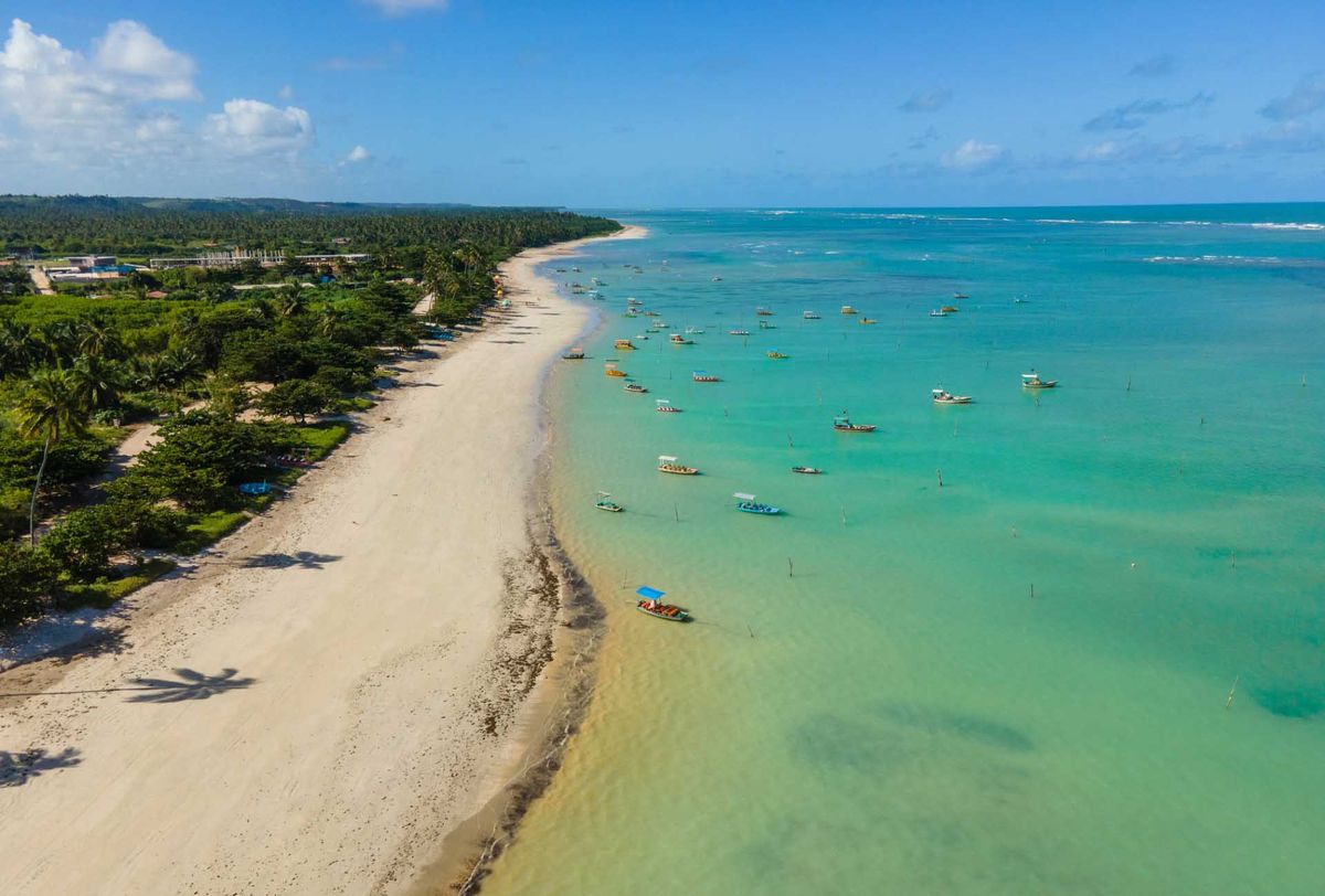 Aguas turquesas, arena blanca y cocoteros: la playa de Brasil que es el paraíso en la Tierra