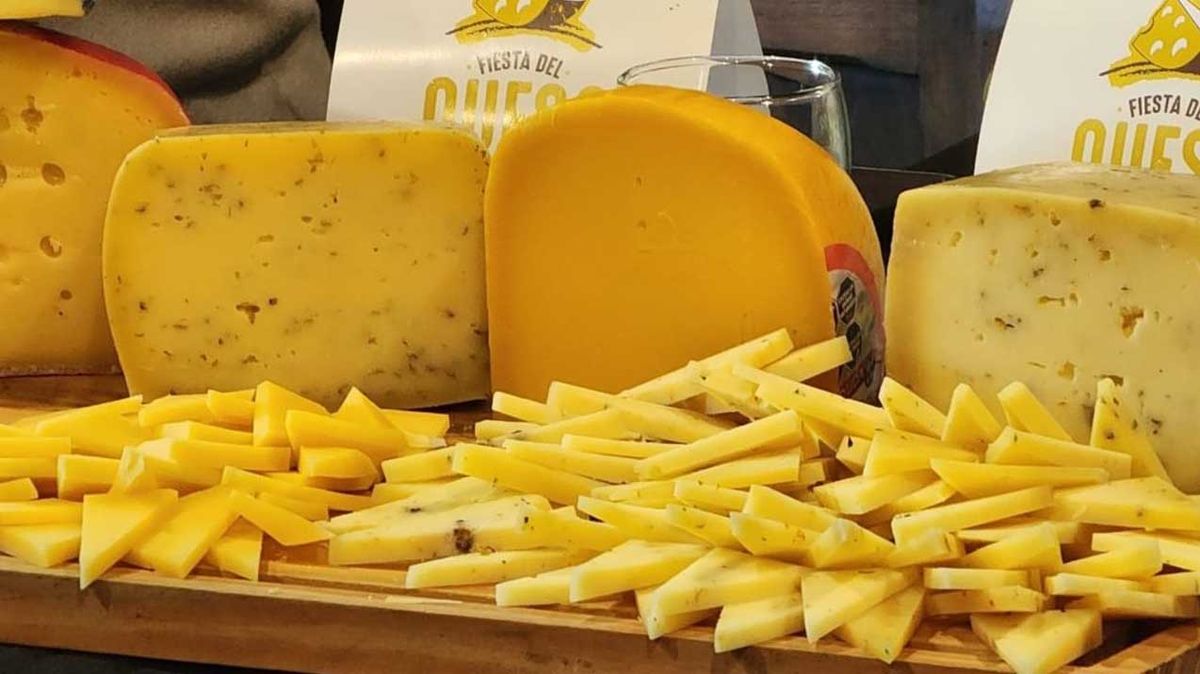 Los productores de Tandil ofrecerán a los visitantes más de 50 variedades de queso para degustar, entre otras actividades Los productores de Tandil ofrecerán a los visitantes más de 50 variedades de queso para degustar, entre otras actividades
