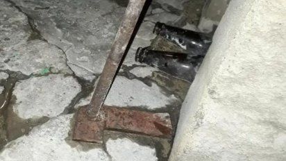 Molió a mazazos a su perro y lo tiró con vida en una bolsa de basura