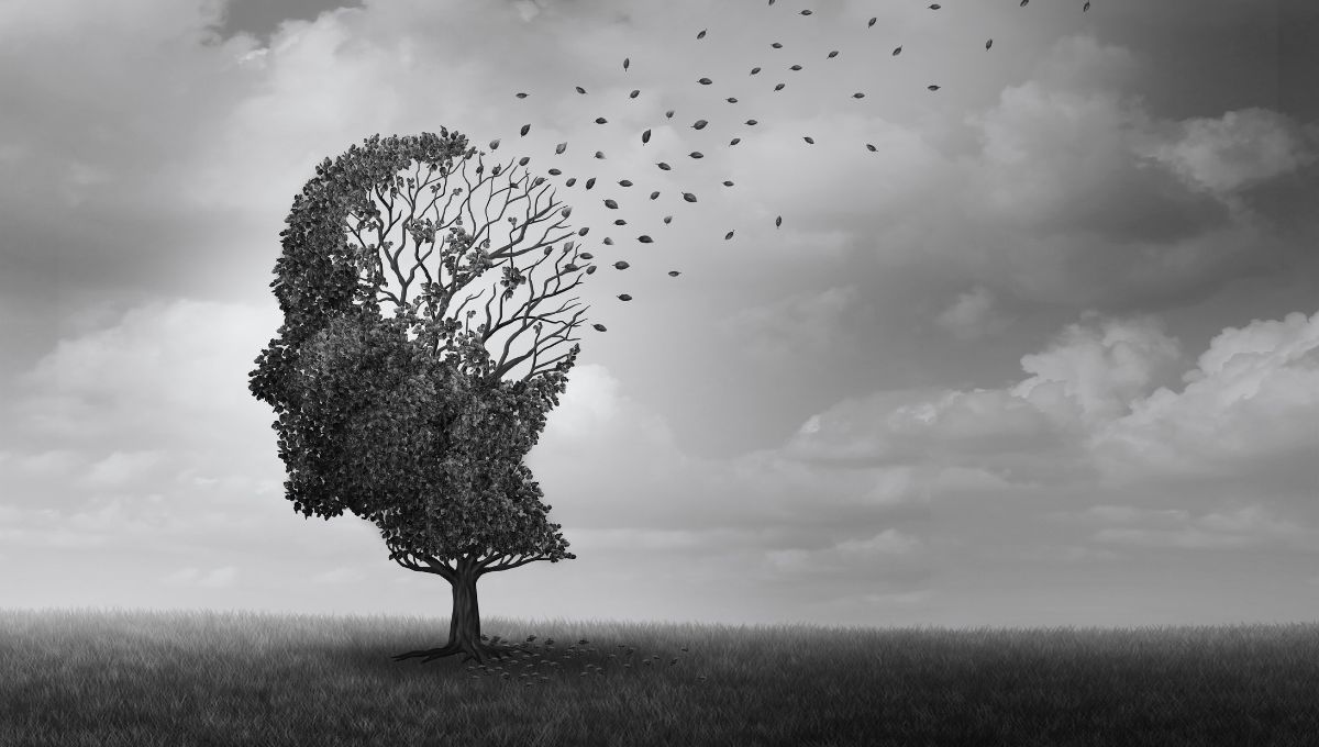El alzheimer podría llegar a ser detenido antes de presentar avances en el cerebro de una persona afectada. El alzheimer podría llegar a ser detenido antes de presentar avances en el cerebro de una persona afectada. 