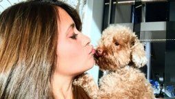 Antonella Roccuzzo publicó un fotón: mirá quién controla todo en la casa de Messi