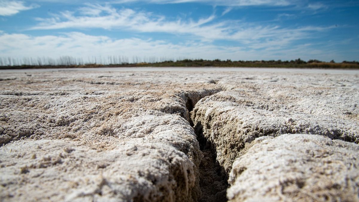 La Laguna del Viborón forma parte de la cadena de humedales de todo el oasis norte de la Provincia. Impacta su estado. Está a punto de desaparecer.