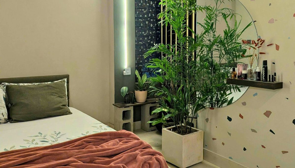 Exploramos las plantas que mejor se adaptan a tu habitación. Imagen: Pexels.