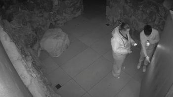 Quiénes son Gonzalo Gómez y Lucía Francisco, la pareja imputada por el millonario robo de vinos y champagne