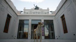 Era un edificio en ruinas y ahora es una sala de arte