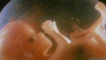 ¿Es posible diseñar seres humanos ecológicos?