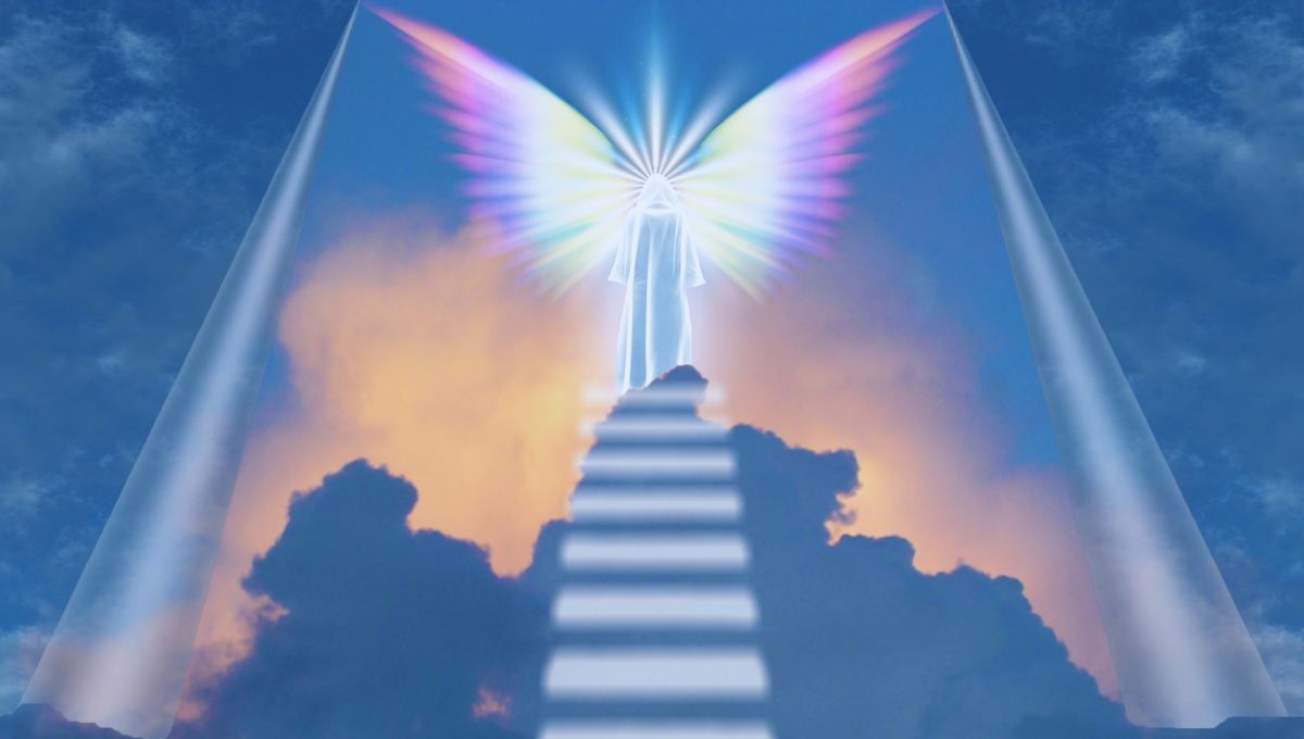 Fuente canva Fuente canva