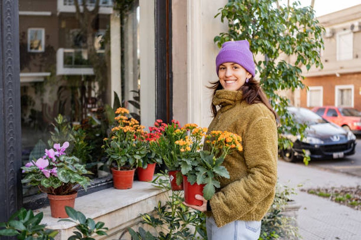 En invierno, las plantas tampoco deben regarse con frecuencia. En invierno, las plantas tampoco deben regarse con frecuencia.