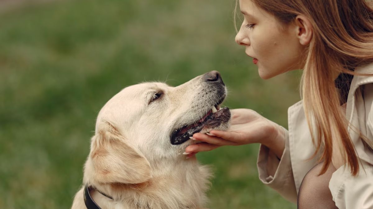 Cuánto tiempo tardaría tu perro en olvidarte.