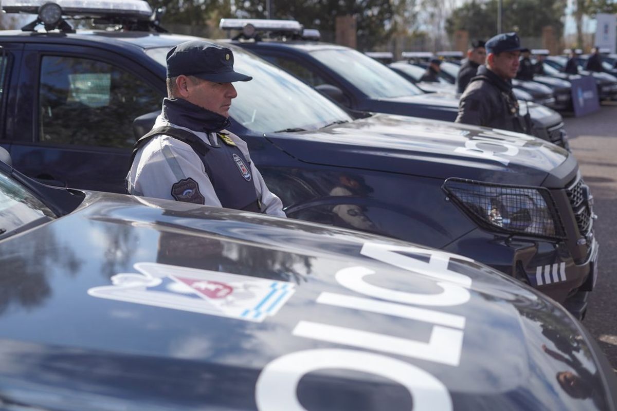 Robo de aceitunas, droga y 4 detenidos en distintos hechos entre Maipú, Luján y Junín