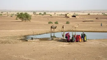 Un desierto es cada vez más verde, y los científicos ahora entienden por qué