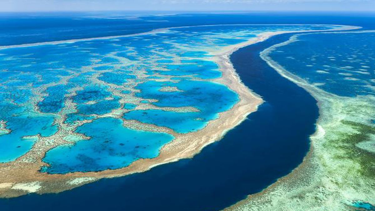 La Gran Barrera de Corales se puede distinguir fácilmente desde el espacio.