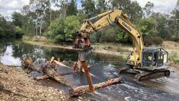 Llenaron un río con troncos de árboles y terminaron duplicando la población de peces