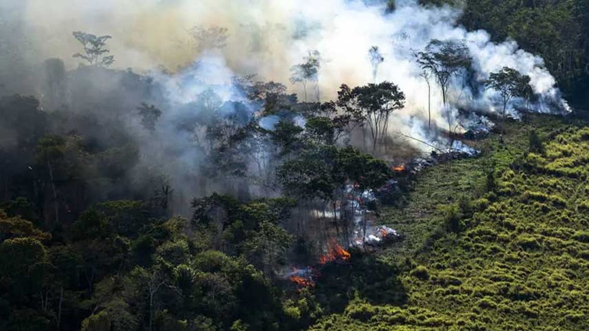 Fue falsa la información sobre la lluvia que cayó en el Amazonas