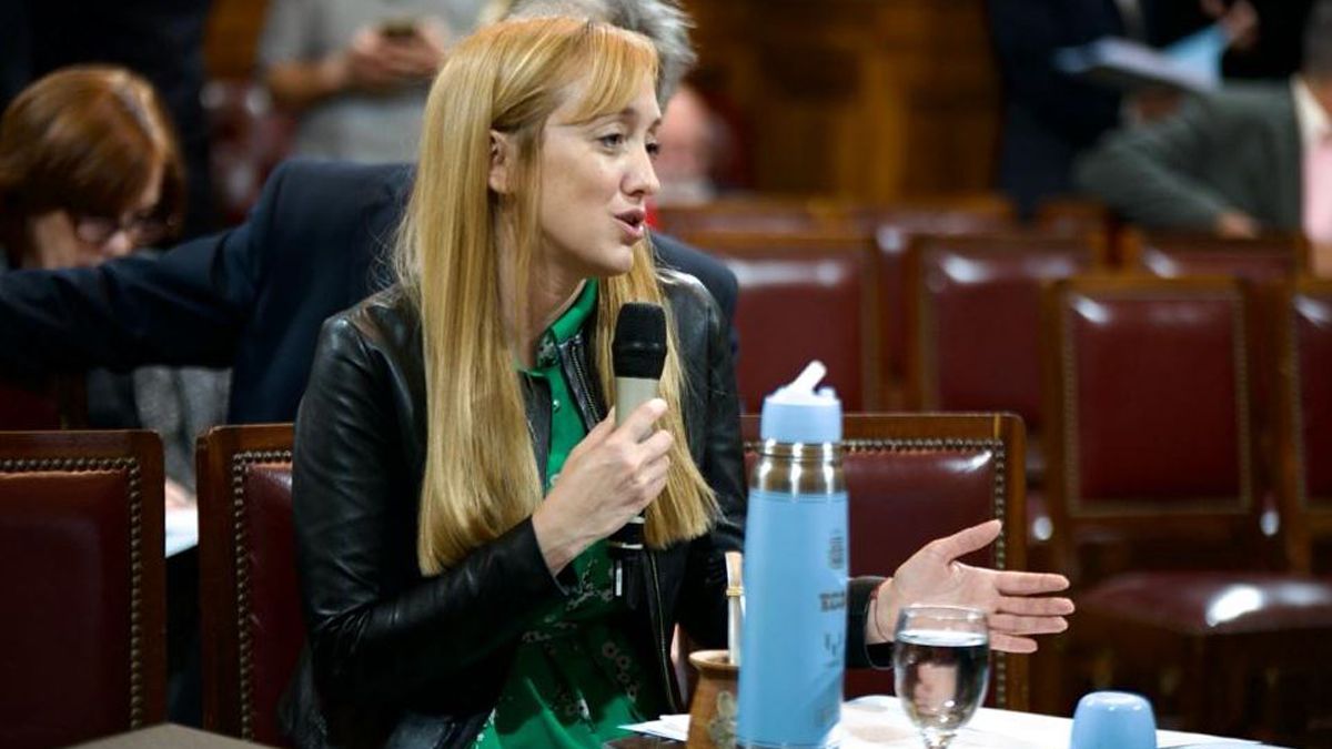 El kirchnerismo buscará trabar el DNU en la Bicameral. Anabel Fernández Sagasti será parte. El kirchnerismo buscará trabar el DNU en la Bicameral. Anabel Fernández Sagasti será parte.