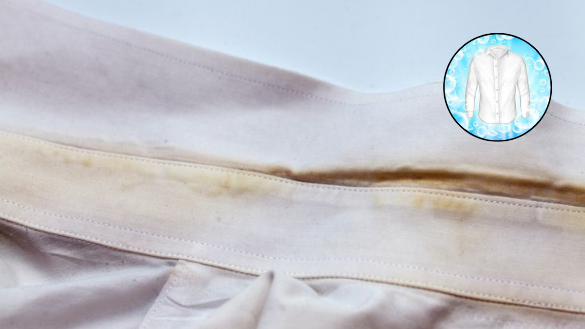 Este efectivo truco con vinagre dejará radiantes los cuellos y puños de las camisas en simples pasos. Este efectivo truco con vinagre dejará radiantes los cuellos y puños de las camisas en simples pasos.