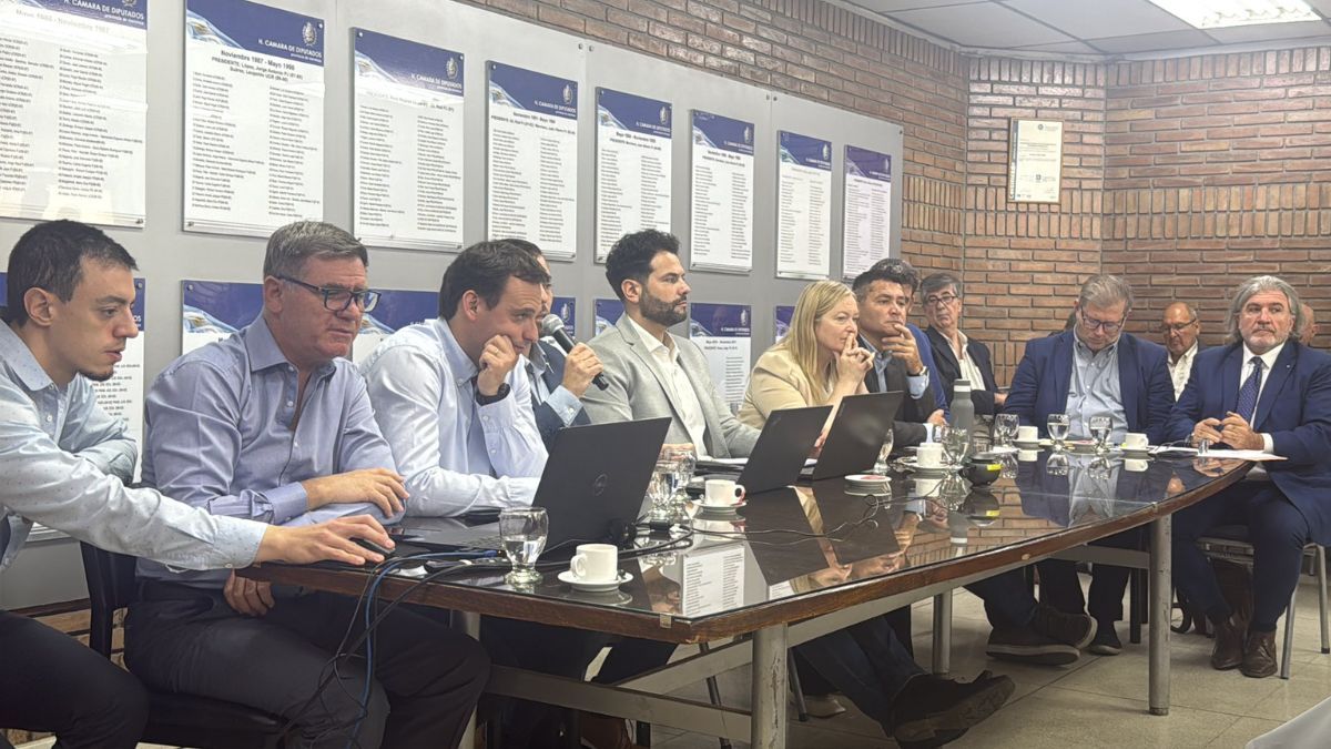 El equipo de Jimena Latorre pasó por la Legislatura para explicar los proyectos mineros que deben tratar los diputados. El equipo de Jimena Latorre pasó por la Legislatura para explicar los proyectos mineros que deben tratar los diputados.