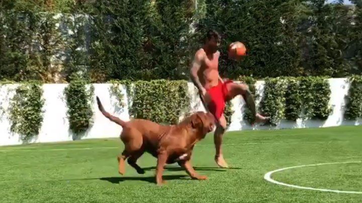Messi vuelve loco a su perro y sus hijos se matan de risa