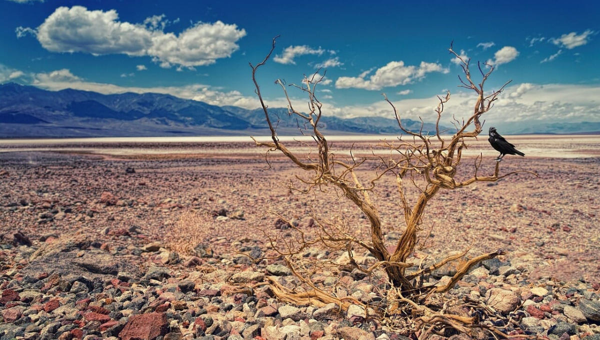 El Valle de la Muerte está entre cuatro cadenas montañosas